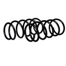 Resortes Originales AG Confort Renault Clio II Hatchback 3DR/5DR 2002-2010 Delanteros-2