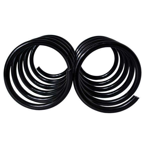 Resortes Originales AG Confort Renault Clio II Hatchback 3DR/5DR 2002-2010 Delanteros