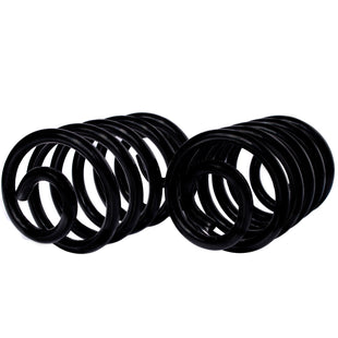 Resortes Originales AG Confort Renault Kangoo 2004-2019 Traseros