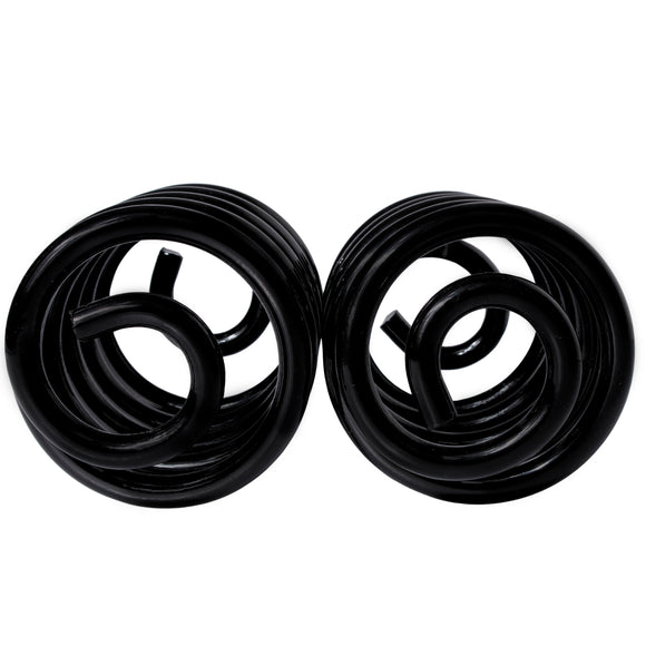 Resortes Originales AG Confort Renault Clio Sport 2002-2010 Par Trasero