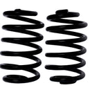 Resortes Originales AG Confort Renault Kangoo 2004-2019 Traseros-1