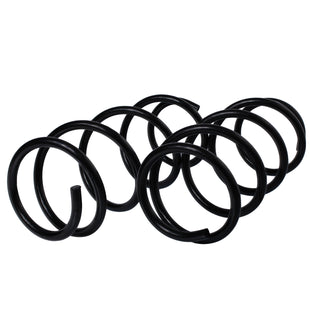 Resortes Originales AG Confort Renault Megane 2004-2010 Par Delantero