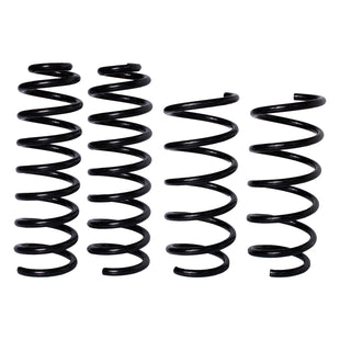 Resortes Originales AG Confort Renault Stepway 5P 10-16 Kit 4 Piezas