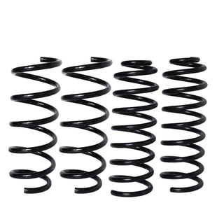Resortes Originales AG Confort Renault Stepway 5P 10-16 Kit 4 Piezas
