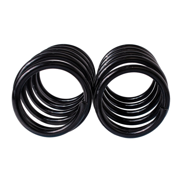 Resortes Originales AG Confort Renault Stepway 5P 10-20 Par Delantero