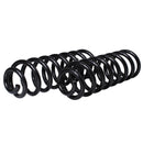 Resortes Originales AG Confort Renault Stepway 5P 10-16 Par Trasero-2