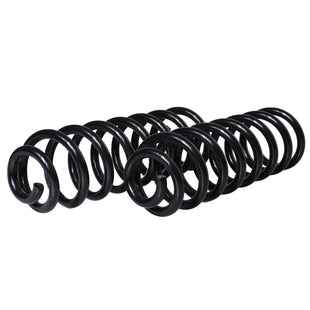 Resortes Originales AG Confort Renault Stepway 5P 10-16 Par Trasero