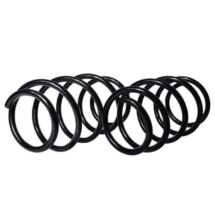 Resortes Originales AG Confort Renault Fluence 11-13 Par Delantero