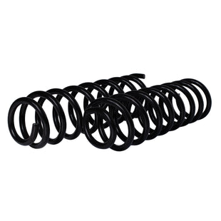 Resortes Originales AG Confort Renault Fluence 11-13 Par Trasero