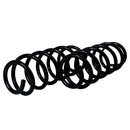 Resortes Originales AG Confort Renault Duster Standard 12-15 Par Trasero-3