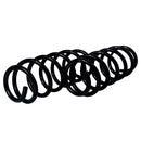 Resortes Originales AG Confort Renault Duster Standard 12-15 Par Trasero-2