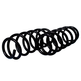 Resortes Originales AG Confort Renault Duster Standard 12-15 Par Trasero