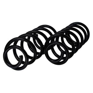 Resortes Originales AG Confort Renault Logan 2015-2023 Traseros