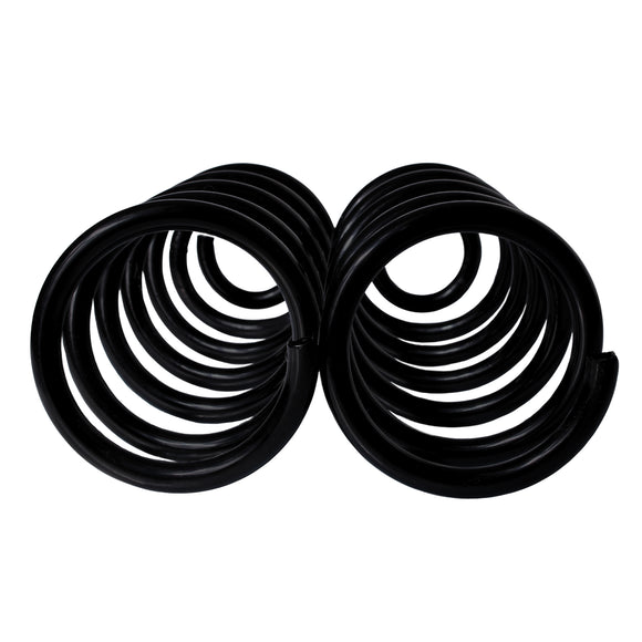 Resortes Originales AG Confort Renault Logan 2015-2023 Traseros