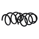 Resortes Originales AG Confort Renault Sandero 2 15-17 Kit 4 Piezas-3