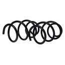 Resortes Originales AG Confort Renault Sandero 2 15-17 Par Delantero-2