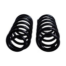 Resortes Originales AG Confort Renault Sandero II 2015-2017 Par Trasero-3