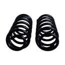 Resortes Originales AG Confort Renault Sandero II 2015-2017 Par Trasero-4