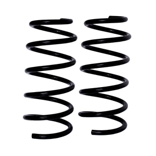 Resortes Originales AG Confort Renault Stepway 4 Cil 2010-2021 Delanteros