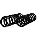 Resortes Originales AG Confort Renault Stepway 4.0 Cil 2010-2021 4 Piezas-2