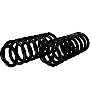 Resortes Originales AG Confort Renault Stepway 4.0 Cil 2010-2021 Traseros