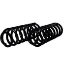 Resortes Originales AG Confort Renault Stepway 4.0 Cil 2010-2021 Traseros-3