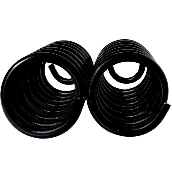 Resortes Originales AG Confort Renault Stepway 4.0 Cil 2010-2021 Traseros