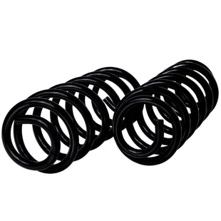 Resortes Originales AG Confort Renault Kwid (Hatchback) 2017-2023 Traseros