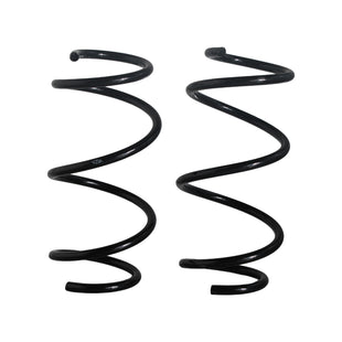 Resortes Originales AG Confort Renault Logan 2015-2018 Delanteros