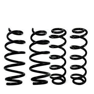 Resortes Originales AG Confort Seat León II 2005-2012 Delanteros y Traseros