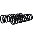 Resortes Originales Ag Confort Volkswagen Pointer Ref 1996-2012 Traseros (Reforzados)-2