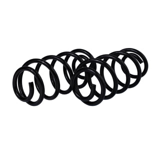 Resortes Ag Confort Volkswagen Passat 1996-2004 Tras