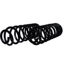 Resortes Originales AG Confort Ford Mustang 94-04 Par Trasero-3