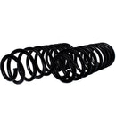 Resortes Originales Ag Confort Ford Mustang 94-04 Par Trasero-2