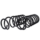 Resortes Originales AG Confort Dodge Ram 1500 4X4 94-97 Par Delantero-3