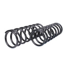 Resortes Originales AG Confort Nissan Tsubame 93-99 Par Trasero-2