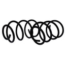 Resortes Originales AG Confort Dodge Neon 95-99 Par Delantero-3