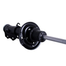 Amortiguadores Originales AG Shock MG GT 2022-2025 Delantero Izquierdo-3