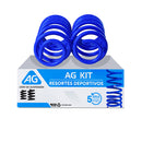 Resortes Deportivos AG Kit Mini Cooper (Incluye "S" Model, R50, R52 ,R53) 2002-2006 Traseros-1