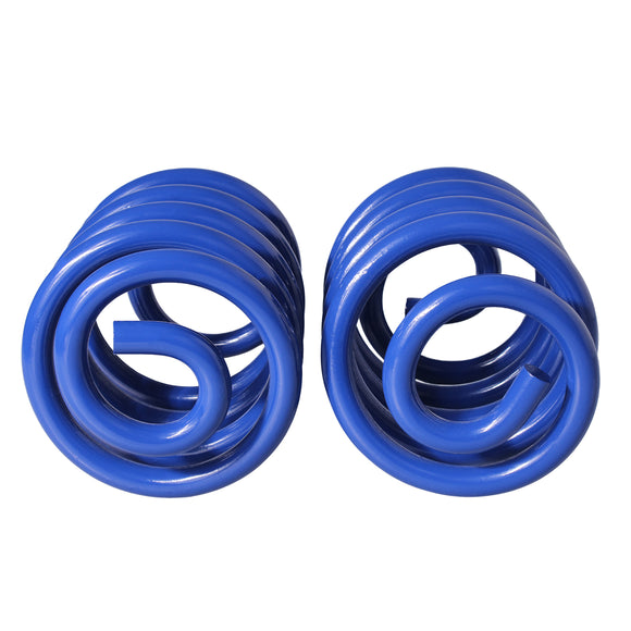 Resortes Deportivos AG Kit Bmw 320/323i/328/330 1998-2006 Par Trasero