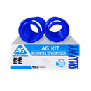 Resortes Deportivos AG Kit Acura Rsx 05-06 Par Trasero-1