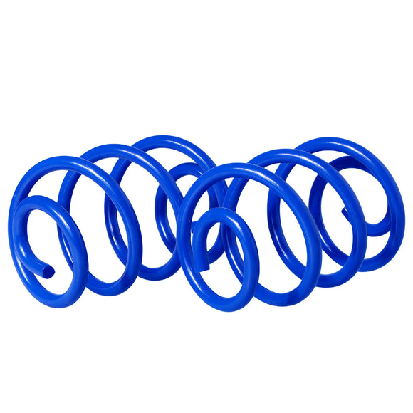 Resortes Deportivos y Amortiguadores Deportivos AG Renault Clio 2004-2011 Traseros