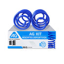 Resortes Deportivos AG Kit Nissan Platina 2001-2011 Par Trasero-1