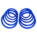 Resortes AG Kit Bmw 325I/320I Sedan 07-08 Par Delantero-3