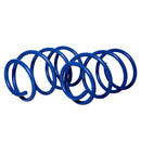 Resortes Deportivos AG Kit Ford Mustang GT V8, Shelby 2005-2014 Delanteros-2