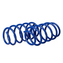 Resortes AG Kit Ford Figo 2016-2020 Delanteros-2