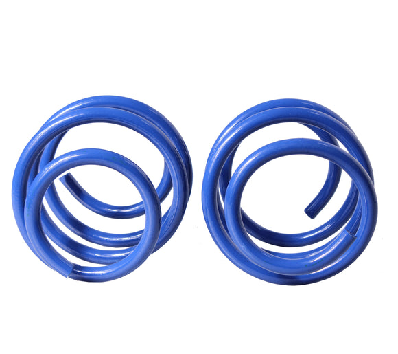 Resortes Deportivos AG Kit Renault Sandero RS 2015-2019 Par Delantero