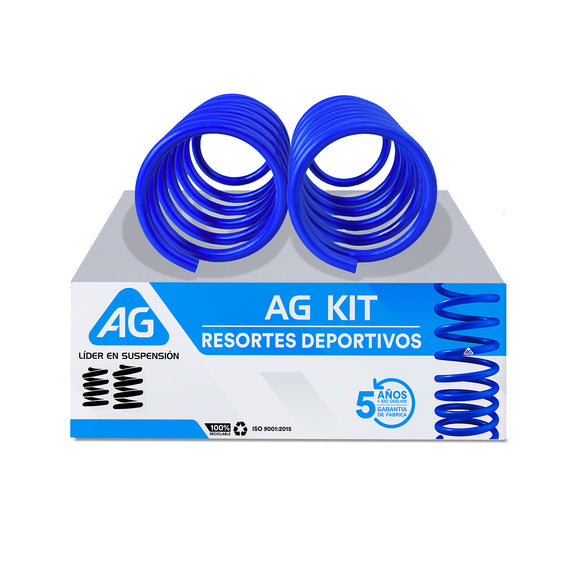 Par AG Kit Hyundai Accent 2012-2017 Trasero