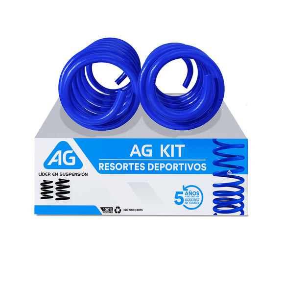 Resortes AG Kit Honda Fit 2014-2020 Traseros