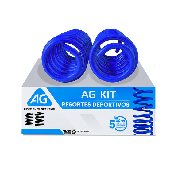 Resortes Deportivos AG Kit Seat Cupra Formentor 2020- Traseros